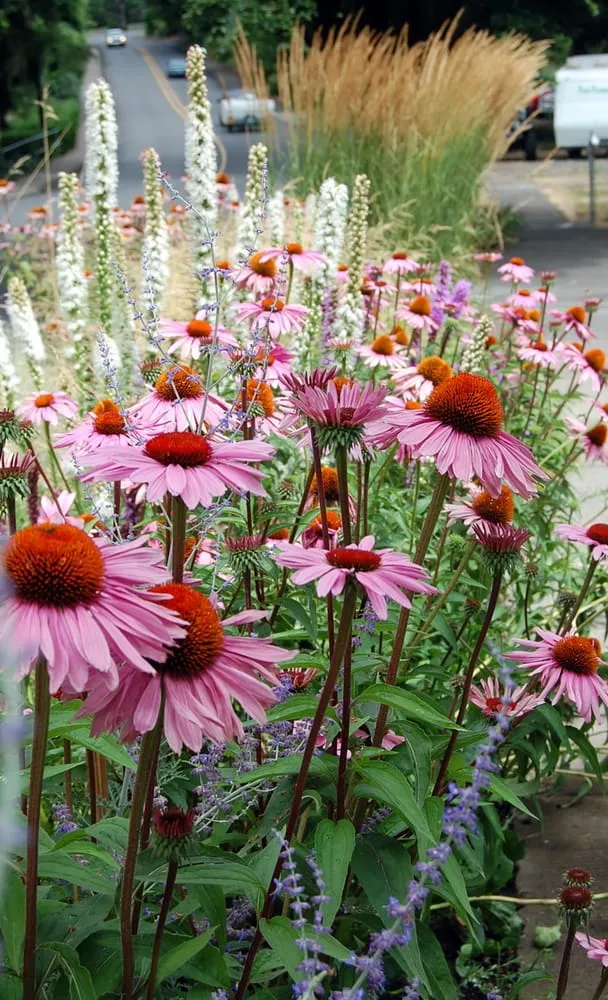 Reliable landscape installation in Portland, OR by Garden Stories