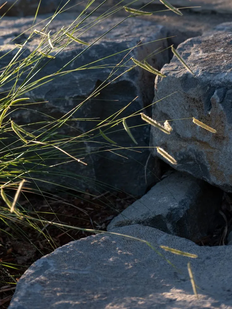 Expert landscaping services in Portland, OR - Garden Stories