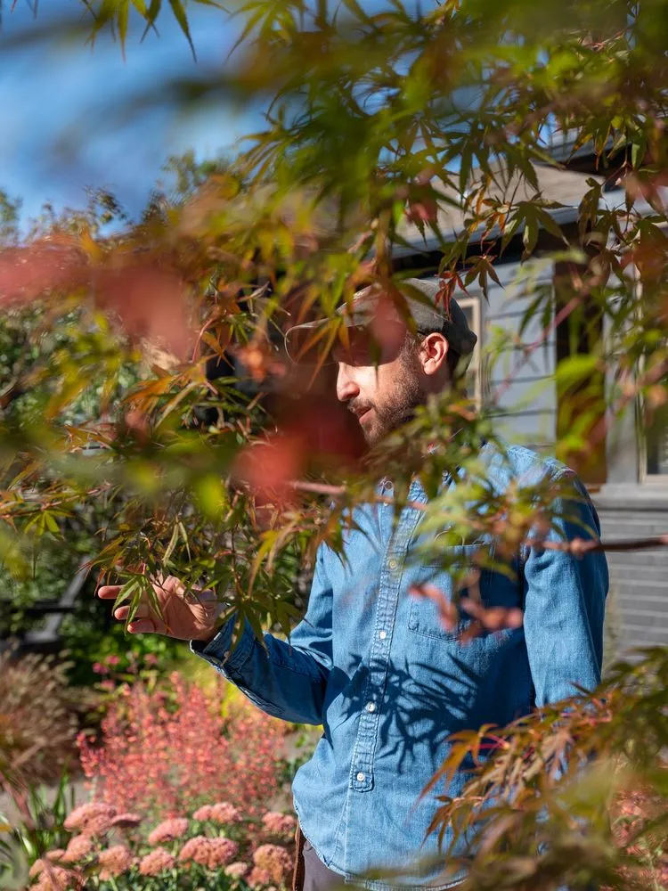 Top-rated yard cleanup service in Portland, OR - Garden Stories