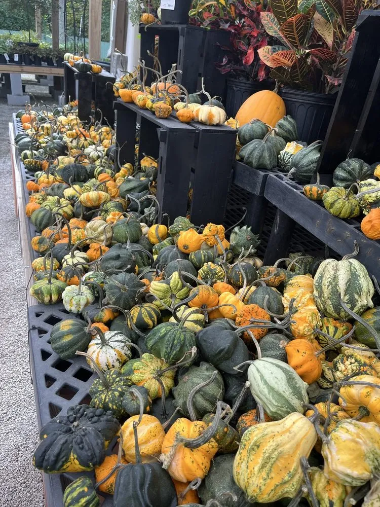 Trusted landscape design in Cary, NC - Garden Supply Company