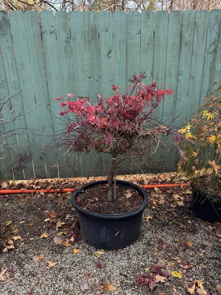 Local landscape installation experts serving Cary, NC - Garden Supply Company