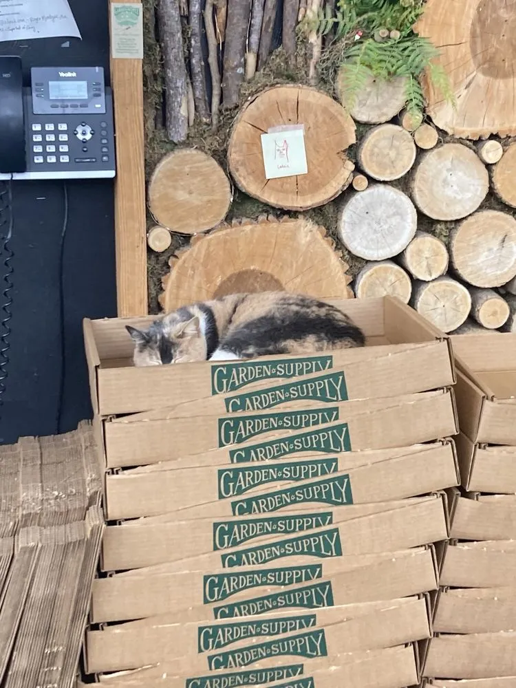 Professional landscaping services experts serving Cary, NC - Garden Supply Company