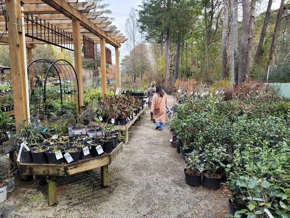 Professional residential landscaping near you across Cary, NC - Garden Supply Company