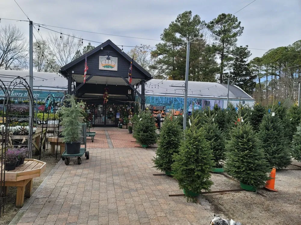 Affordable outdoor landscaping for outdoor upgrades across Cary, NC - Garden Supply Company