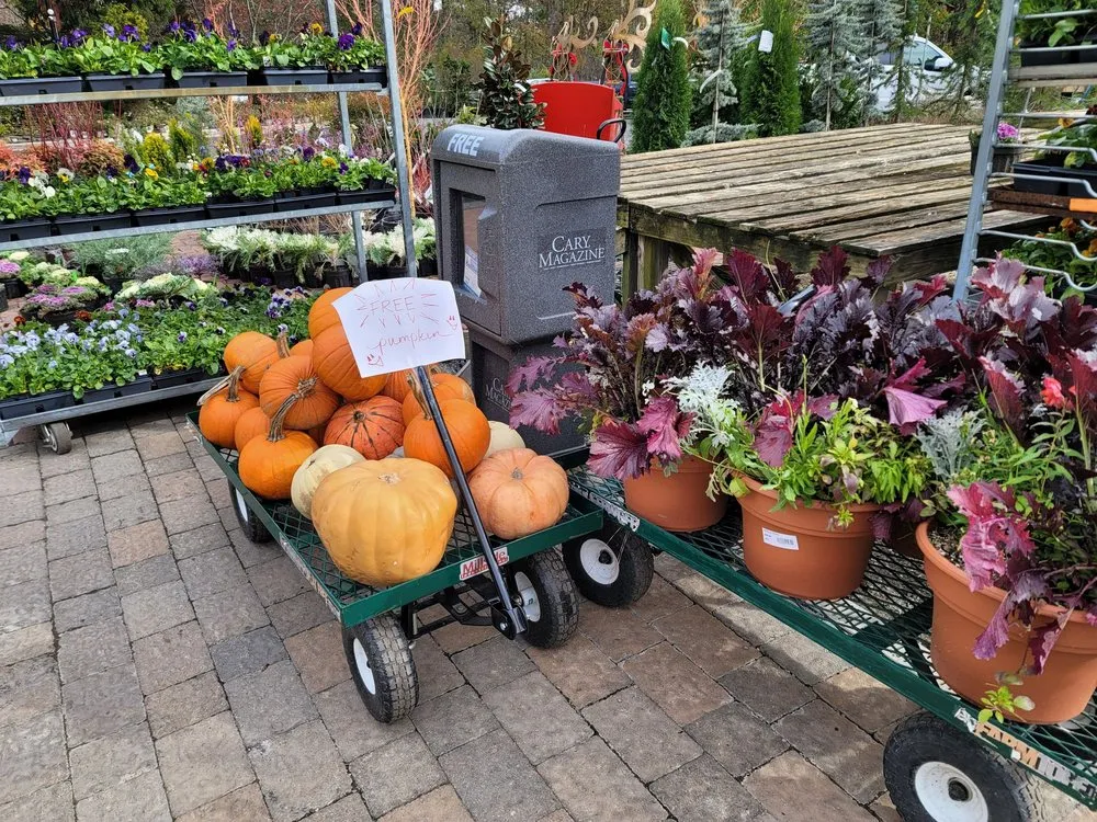 Custom landscape design for beautiful yards in Cary, NC by Garden Supply Company