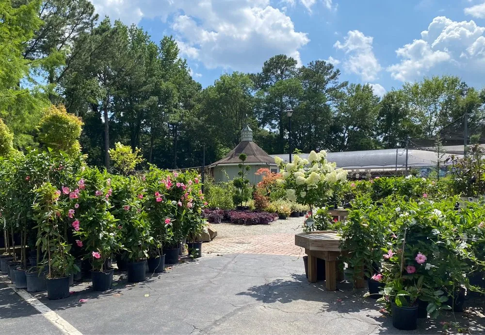 Affordable landscape design in Cary, NC by Garden Supply Company