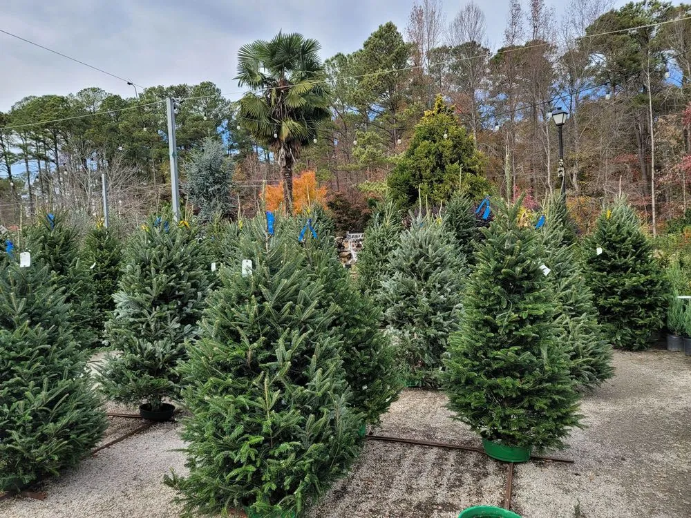 Custom landscape design for outdoor upgrades across Cary, NC - Garden Supply Company