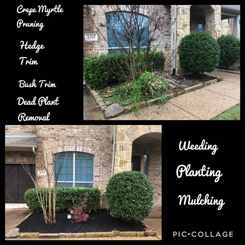 Top-rated yard cleanup service in Aubrey, TX by Garden Tech