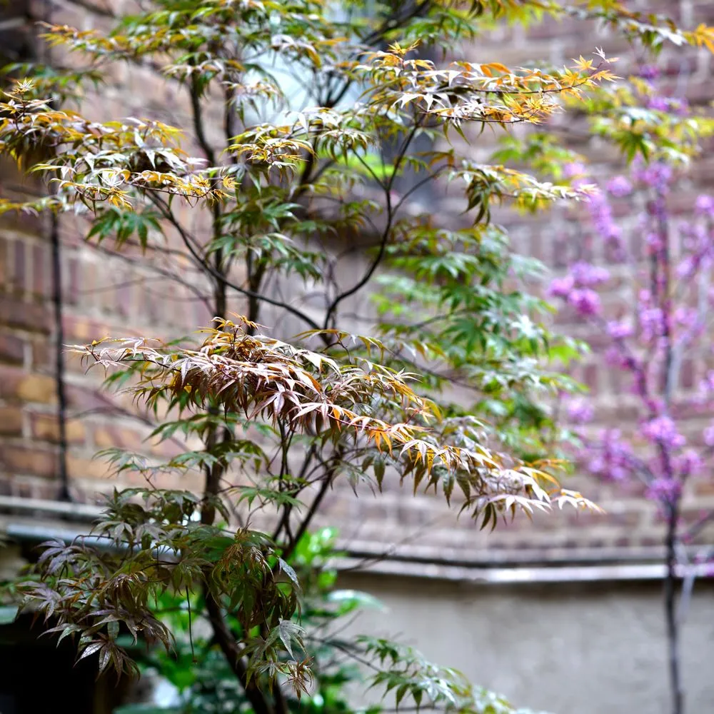 Professional landscape installation experts serving New York, NY - Garden Thyme NYC