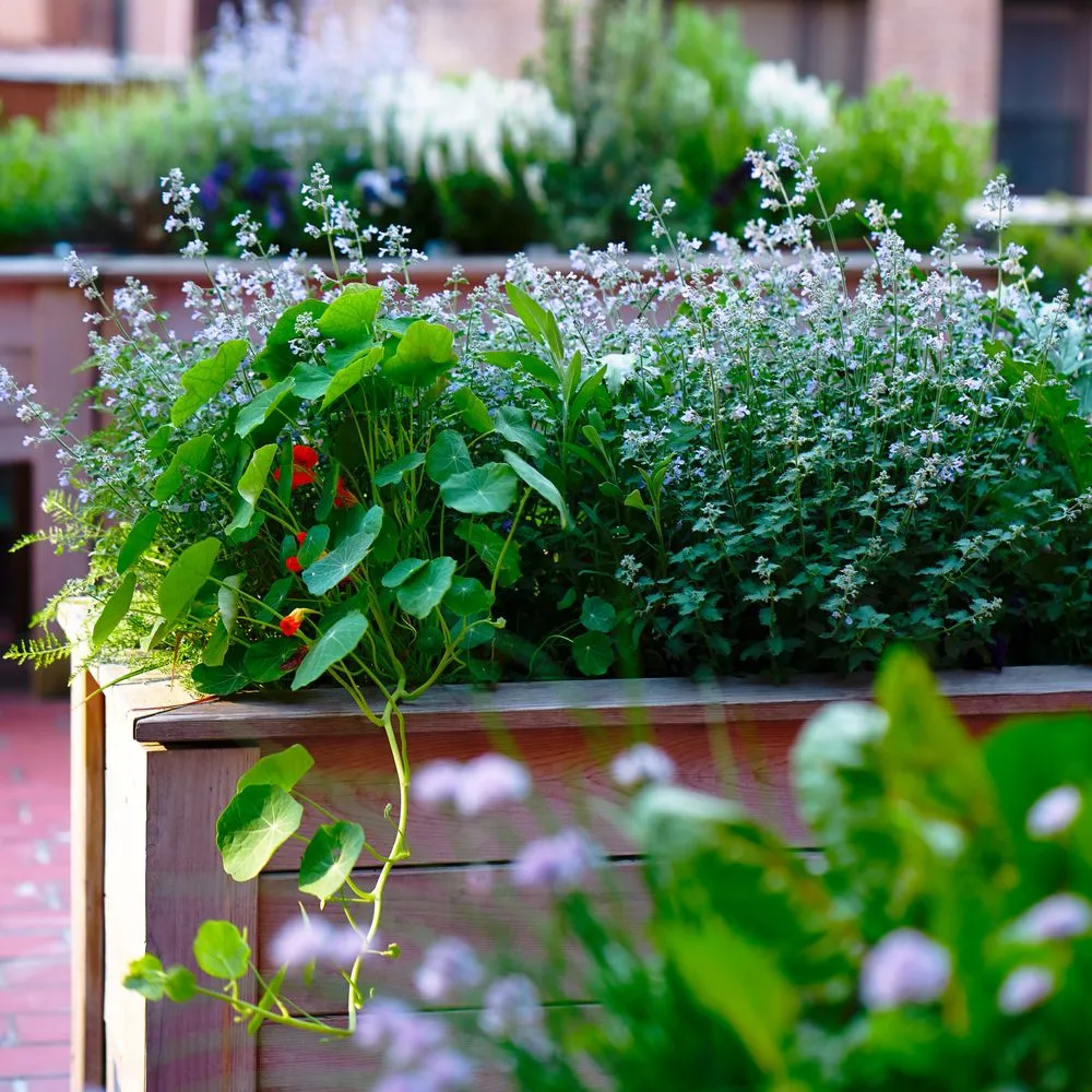 Expert residential landscaping for beautiful yards in New York, NY by Garden Thyme NYC