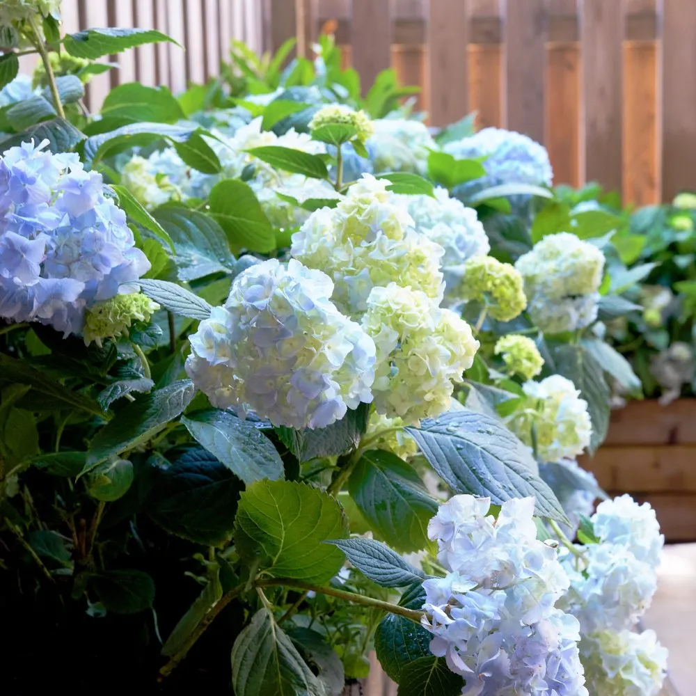 Top-rated landscape design in New York, NY by Garden Thyme NYC