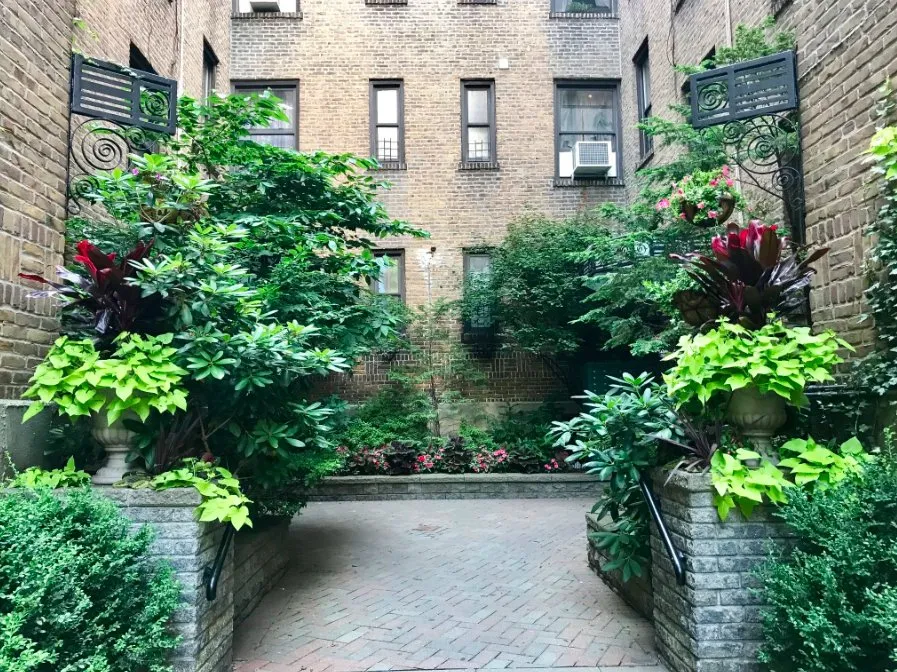 Reliable lawn care service for outdoor upgrades across New York, NY - Garden Thyme NYC