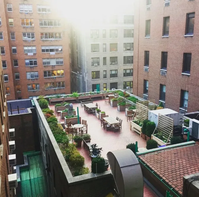 Professional landscape design in New York, NY - Garden Thyme NYC