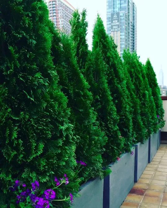 Trusted garden landscaping near you in New York, NY by Garden Thyme NYC