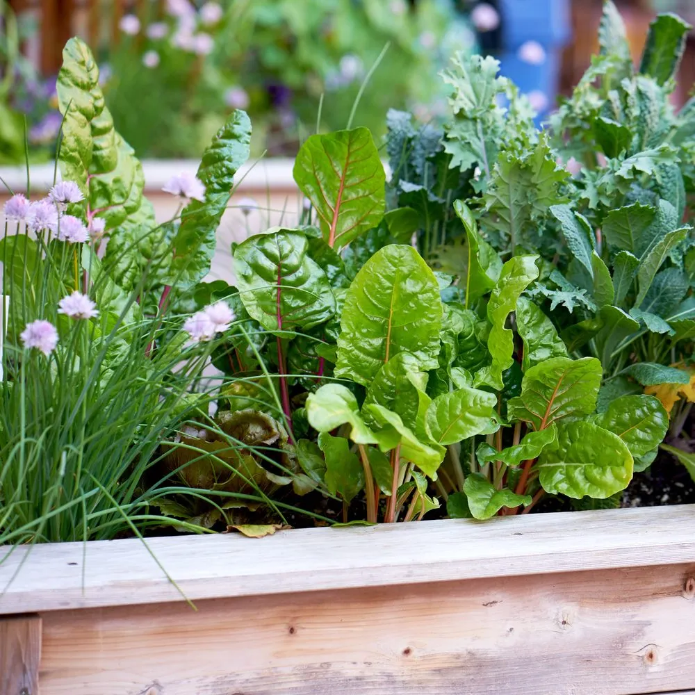 Trusted landscape design in New York, NY by Garden Thyme NYC