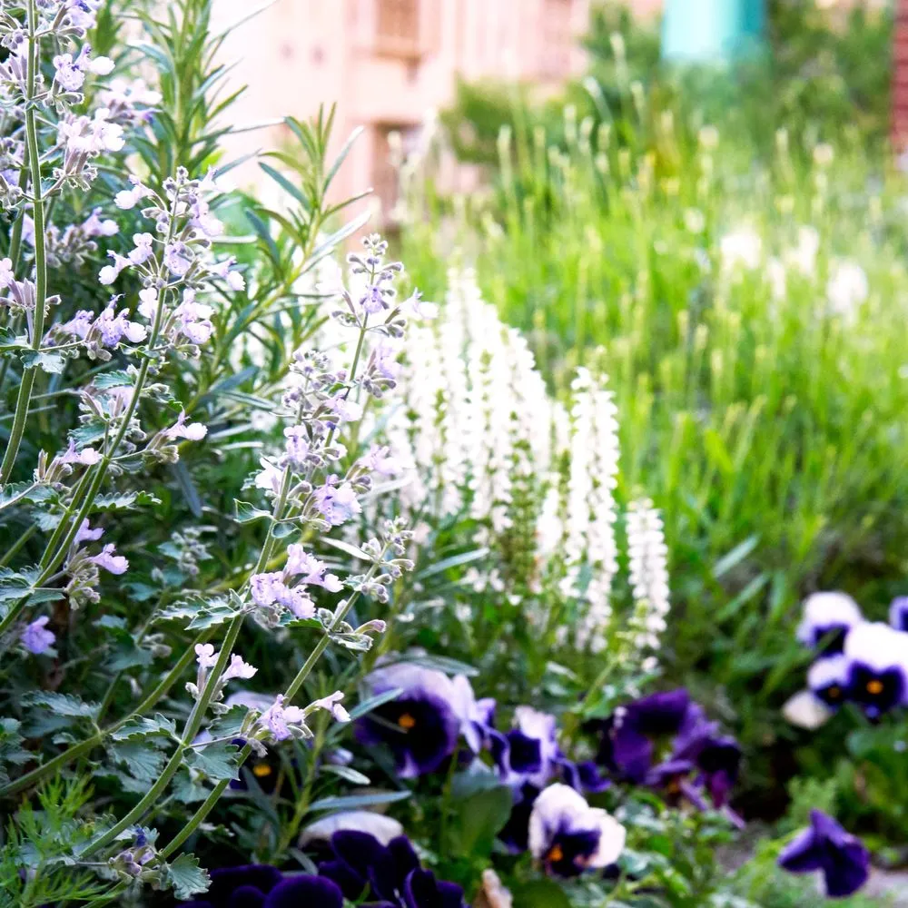 Expert yard maintenance for outdoor upgrades in New York, NY by Garden Thyme NYC