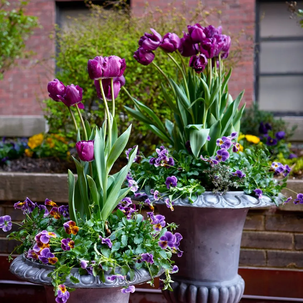 Affordable garden landscaping experts serving New York, NY - Garden Thyme NYC