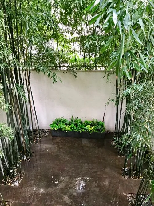 Custom landscape design for beautiful yards in New York, NY by Garden Thyme NYC