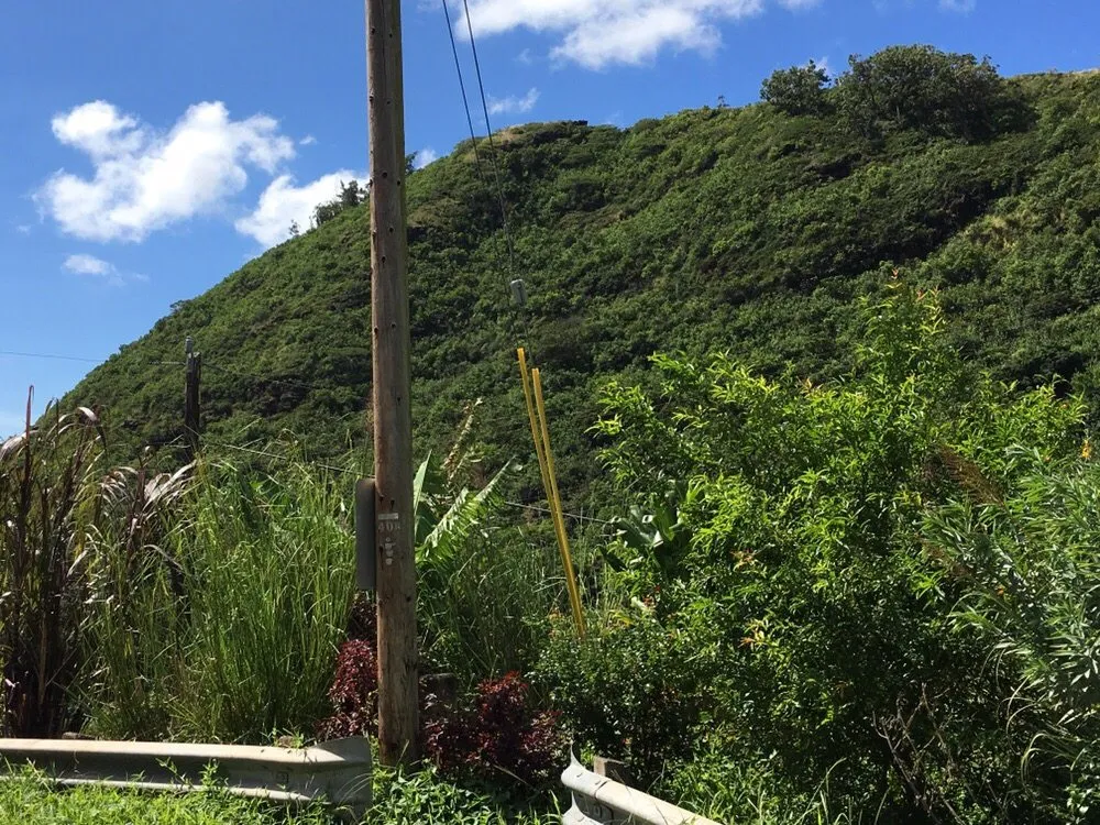 Affordable landscape design in Honolulu, HI - Garden To Gardens