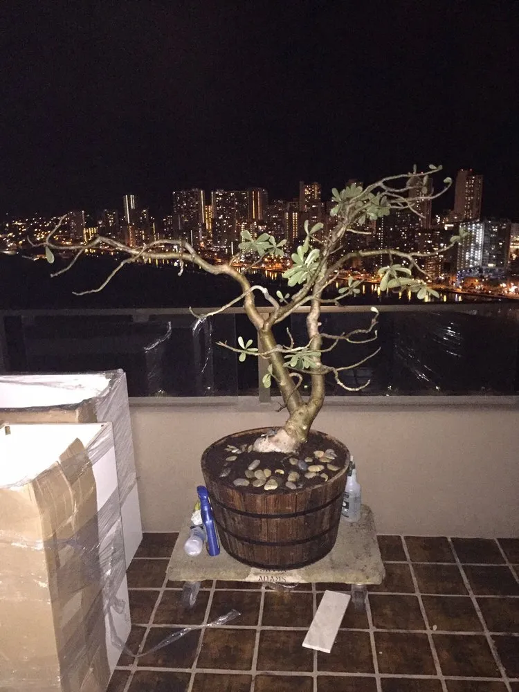 Professional yard cleanup service experts serving Honolulu, HI - Garden To Gardens