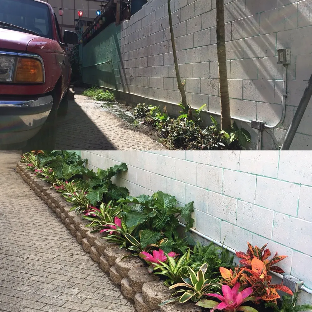 Local yard cleanup service for outdoor upgrades in Honolulu, HI by Garden To Gardens