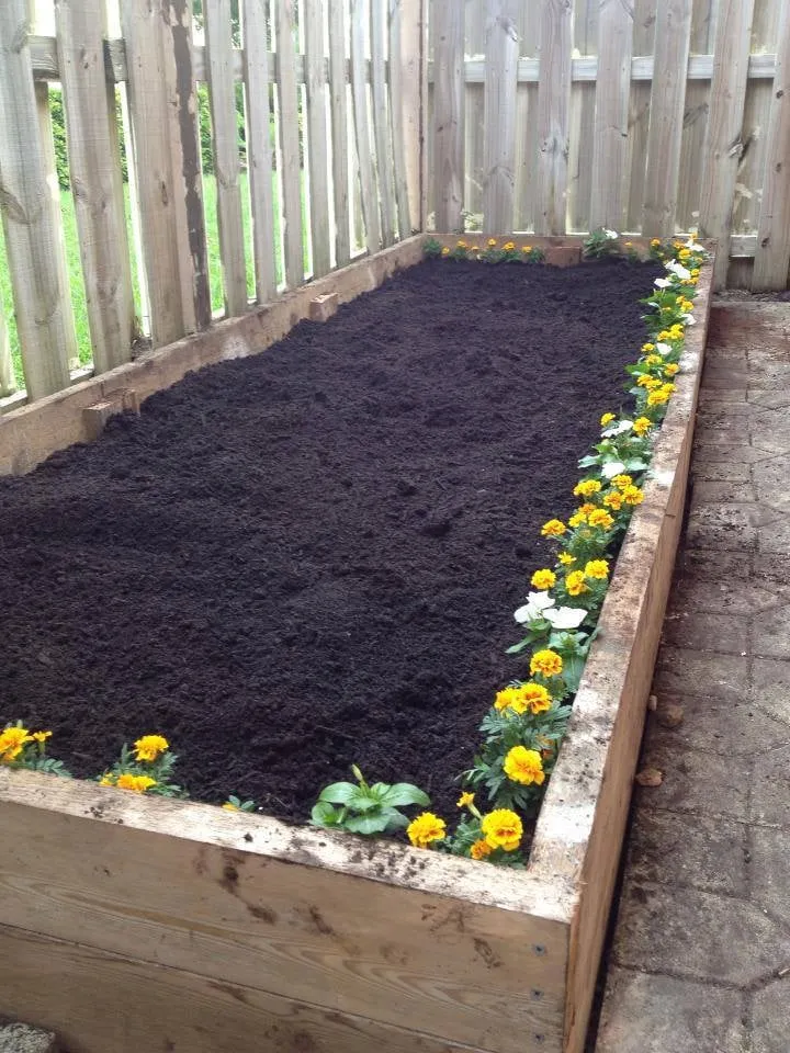 Affordable landscaping services for beautiful yards in Honolulu, HI by Garden To Gardens