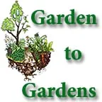 Professional lawn care service for outdoor upgrades across Honolulu, HI - Garden To Gardens