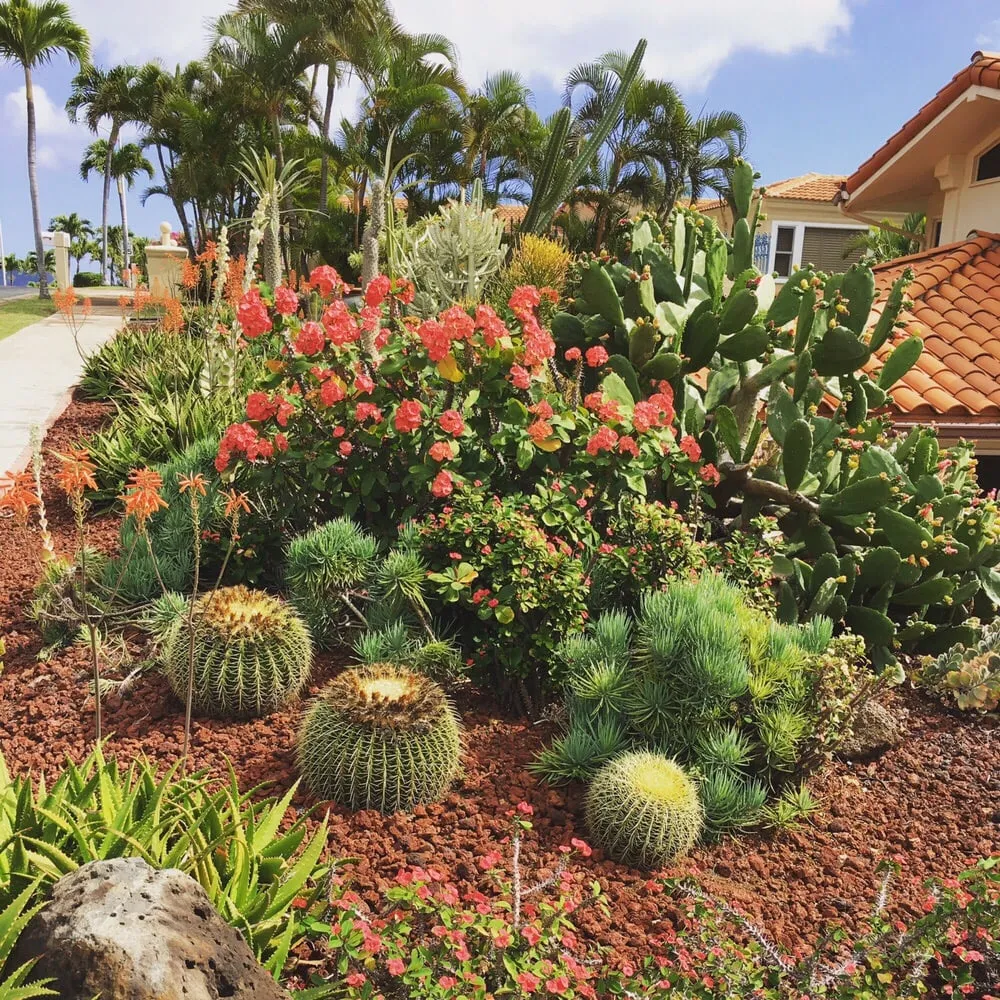 Local yard cleanup service with custom design across Honolulu, HI - Garden To Gardens