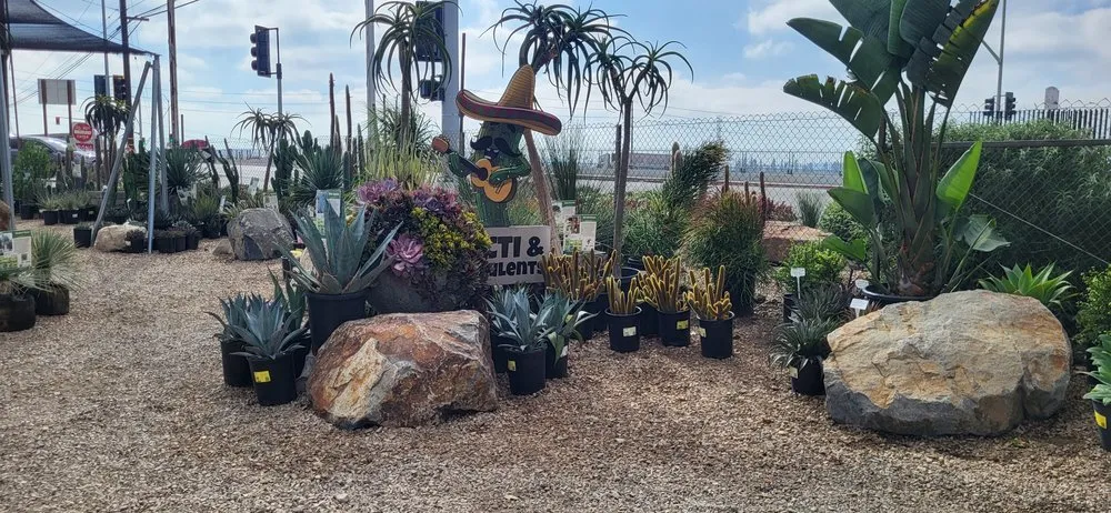 Professional residential landscaping with custom design in Irwindale, CA by Garden View Nursery