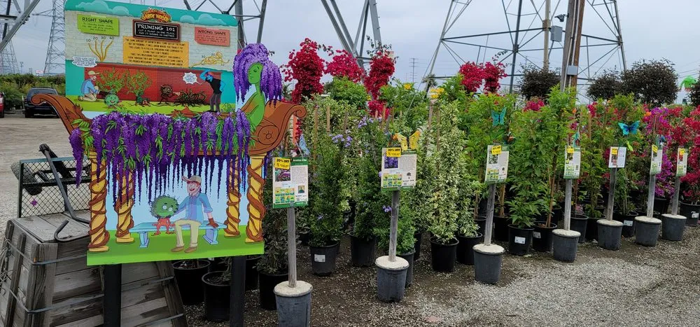 Expert lawn mowing service in Irwindale, CA - Garden View Nursery