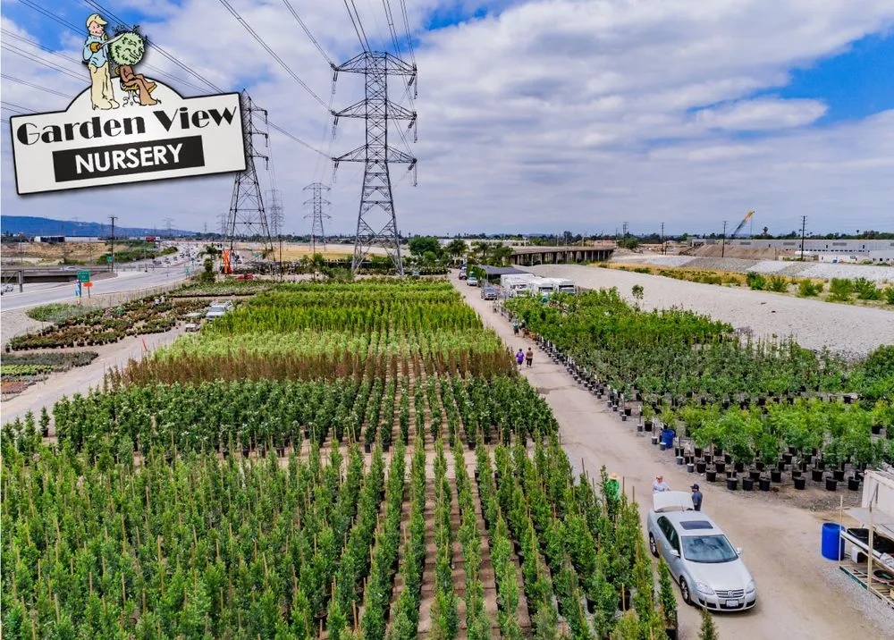 Custom landscape installation in Irwindale, CA by Garden View Nursery