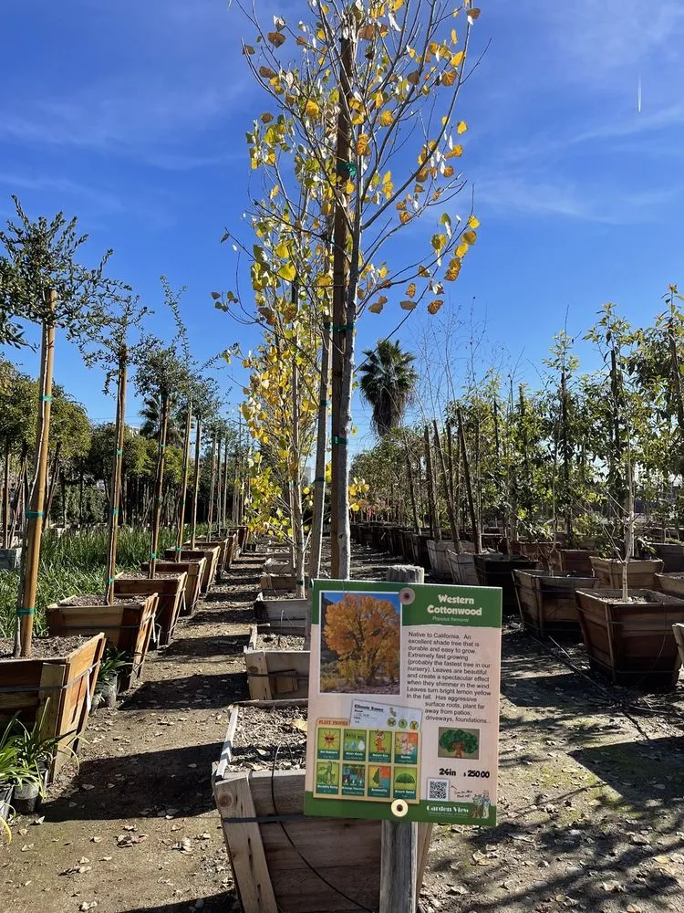 Local lawn mowing service experts serving Irwindale, CA - Garden View Nursery