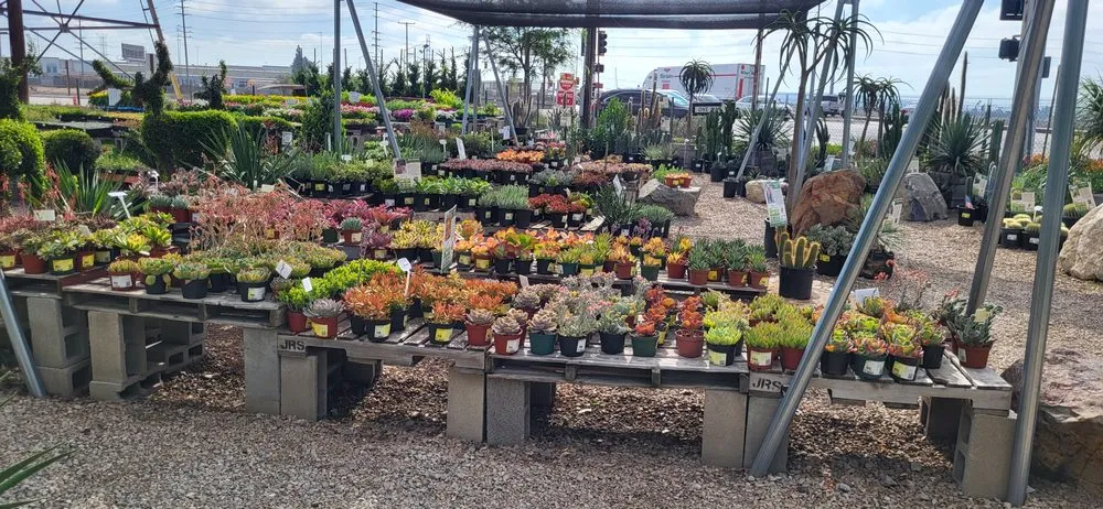 Custom yard maintenance experts serving Irwindale, CA - Garden View Nursery