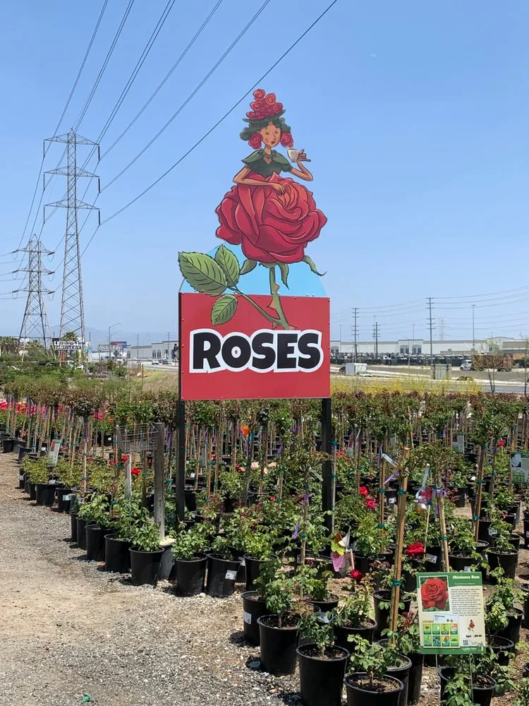 Top-rated landscape installation experts serving Irwindale, CA - Garden View Nursery