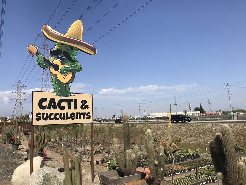 Top-rated outdoor landscaping experts serving Irwindale, CA - Garden View Nursery