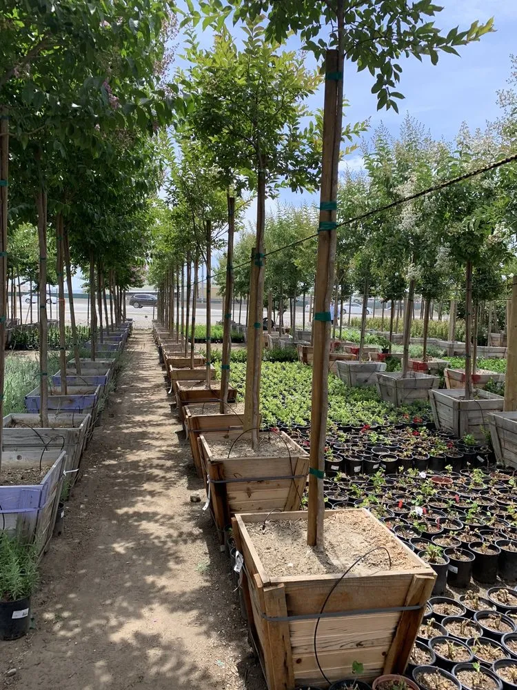 Top-rated lawn care service in Irwindale, CA - Garden View Nursery