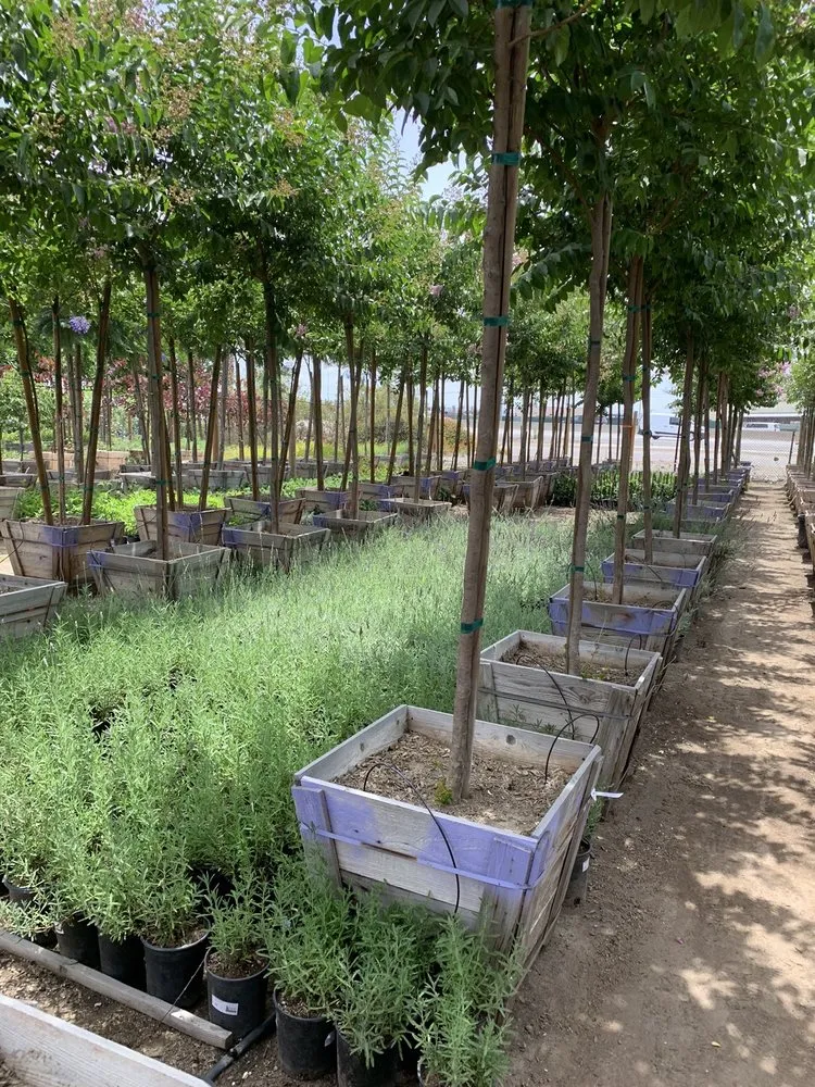 Expert garden landscaping for outdoor upgrades in Irwindale, CA by Garden View Nursery