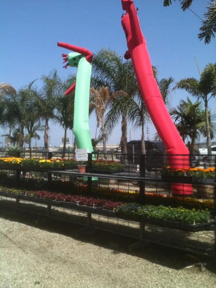 Trusted lawn care service for outdoor upgrades across Irwindale, CA - Garden View Nursery