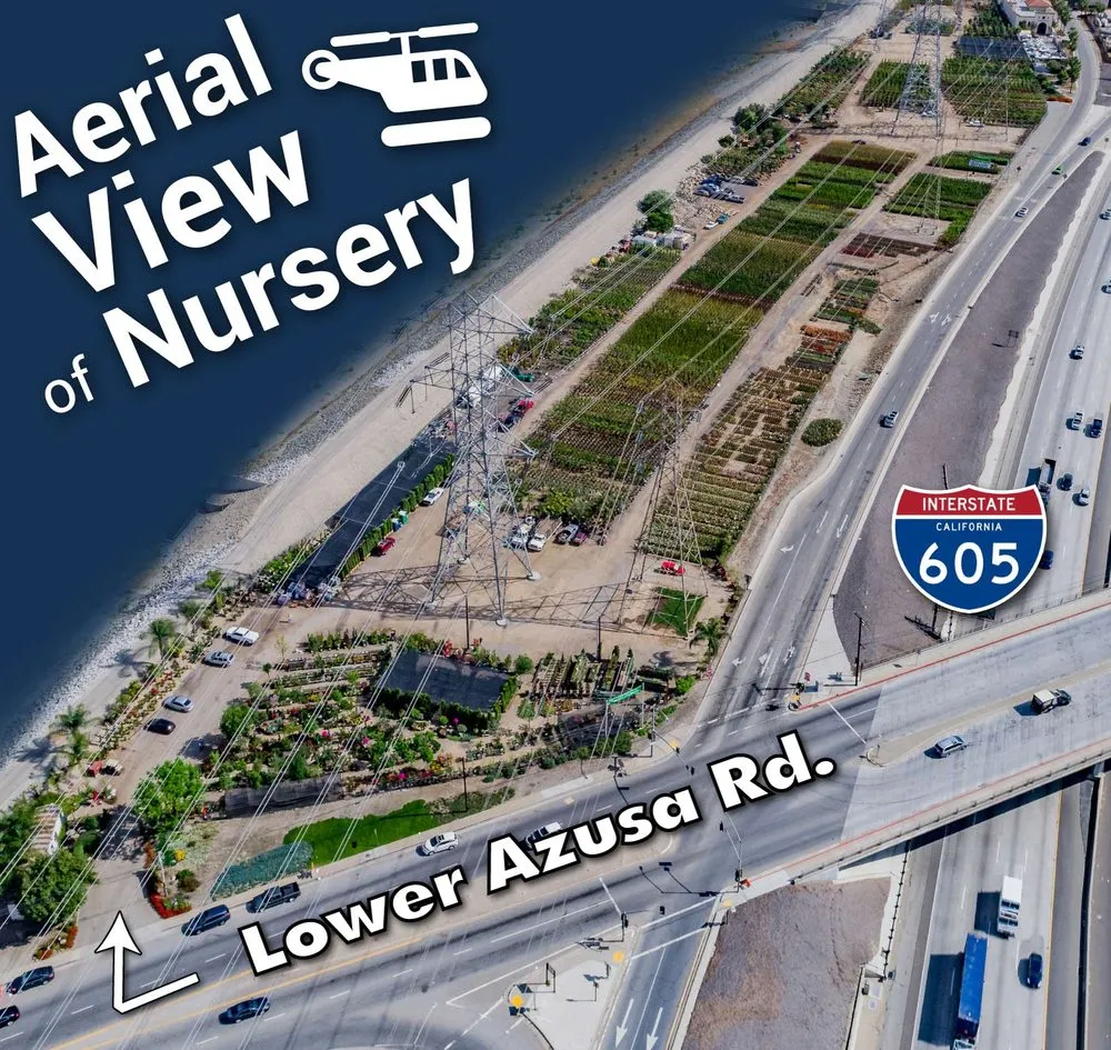 Expert outdoor landscaping with custom design in Irwindale, CA by Garden View Nursery