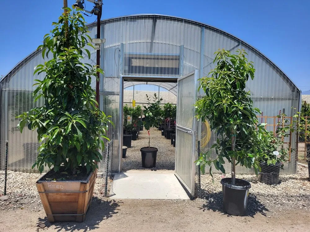 Top-rated lawn mowing service experts serving Irwindale, CA - Garden View Nursery