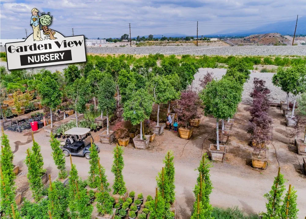 Trusted yard cleanup service experts serving Irwindale, CA - Garden View Nursery