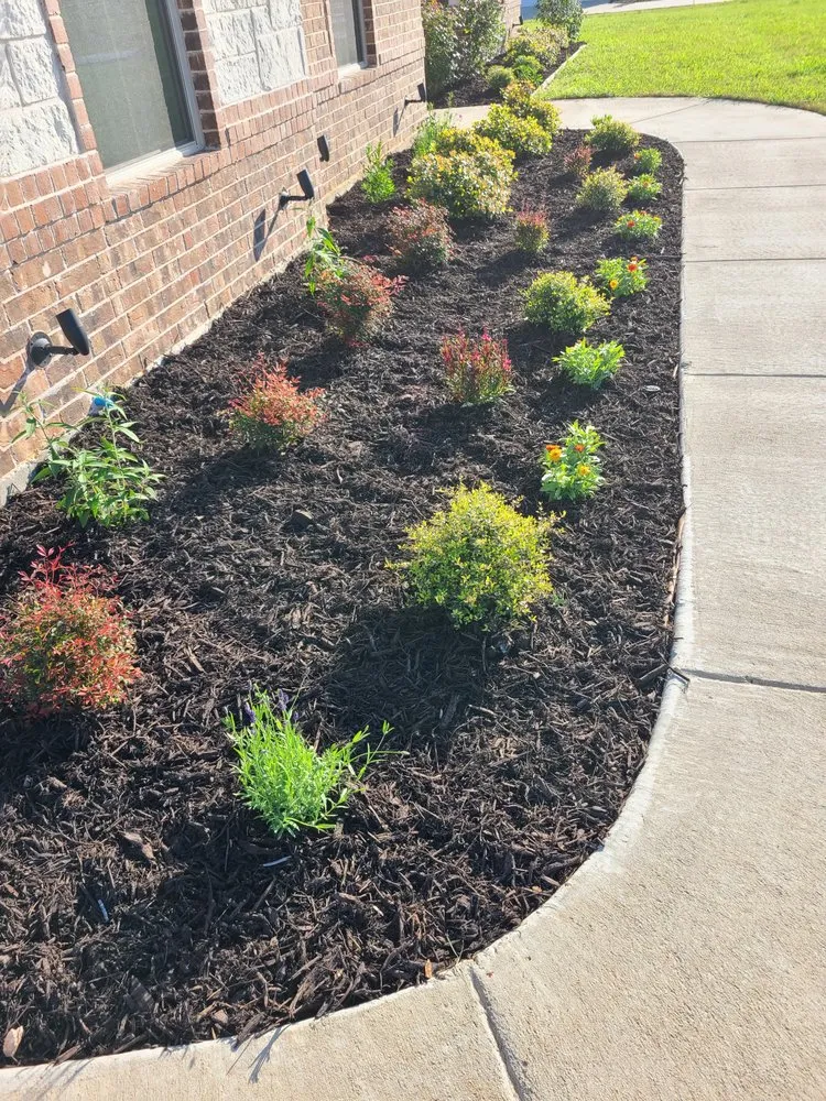 Affordable lawn care service in Burleson, TX - Garden Whisperer Landscaping