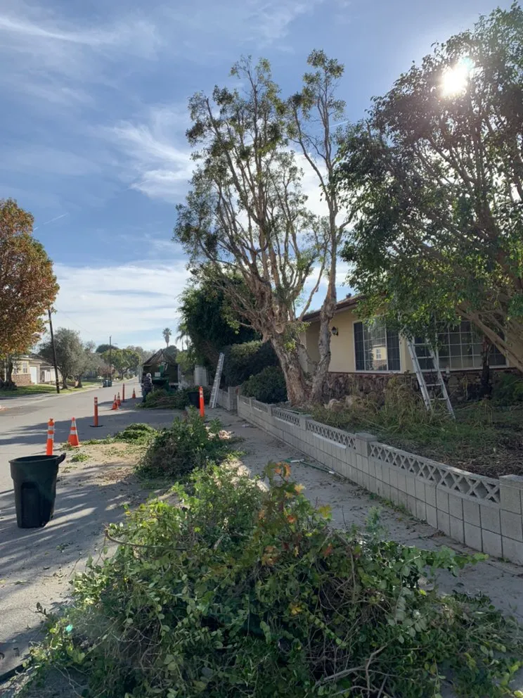 Professional residential landscaping in Beverly Hills, CA by Garden Works Landscape