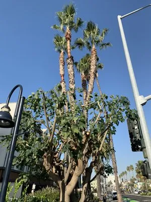 Garden Works Landscape Logo