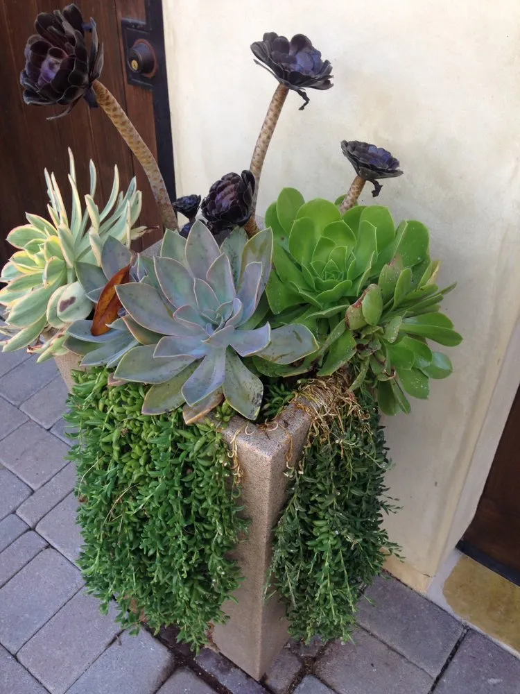 Professional landscape design for beautiful yards in Manhattan Beach, CA by Garden Works Landscaping & Maintenance