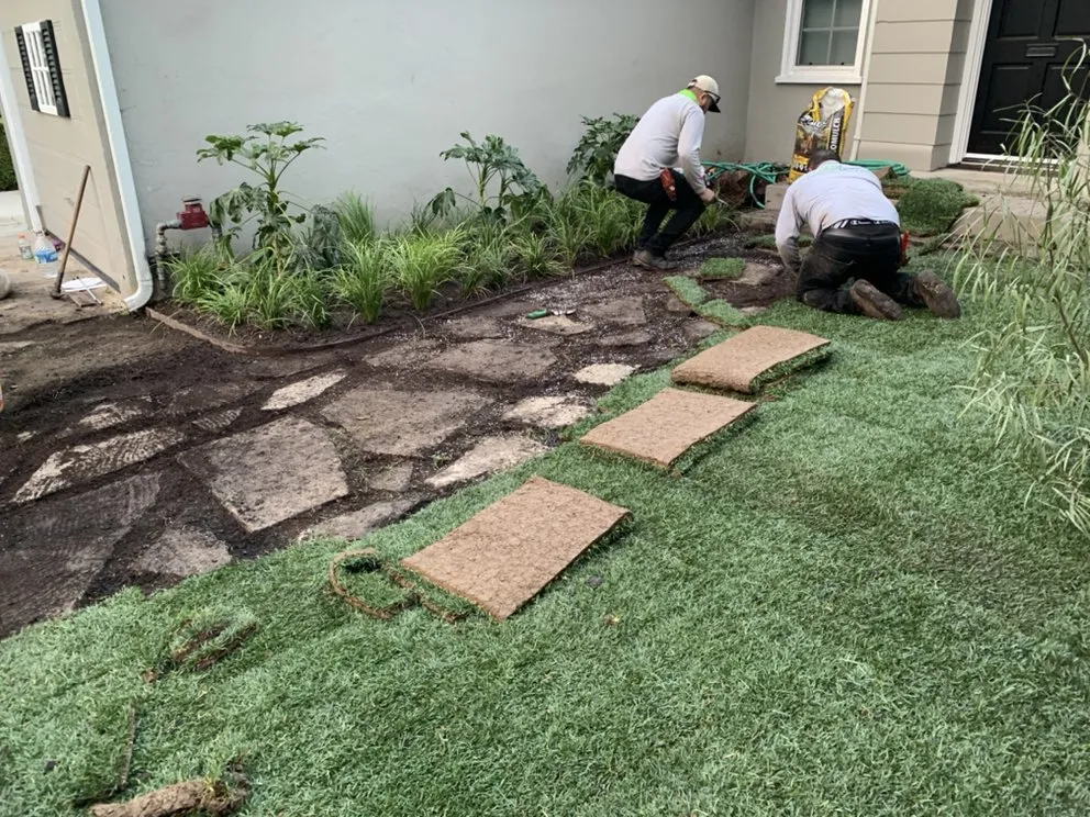 Expert landscape design in Manhattan Beach, CA - Garden Works Landscaping & Maintenance