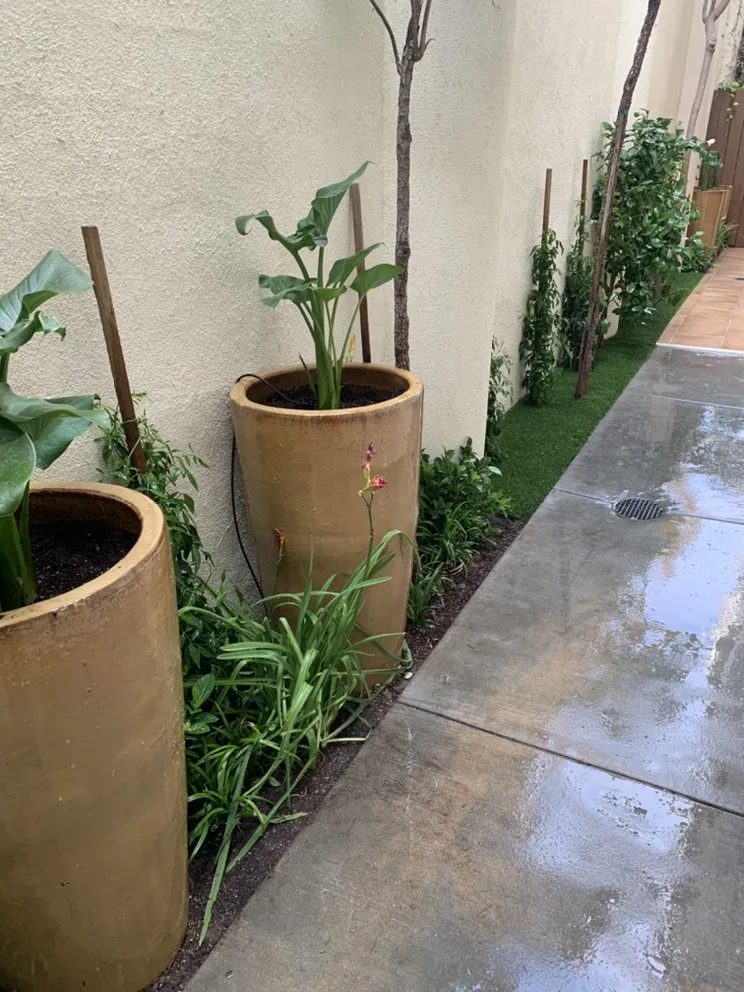 Local landscape design in Manhattan Beach, CA - Garden Works Landscaping & Maintenance