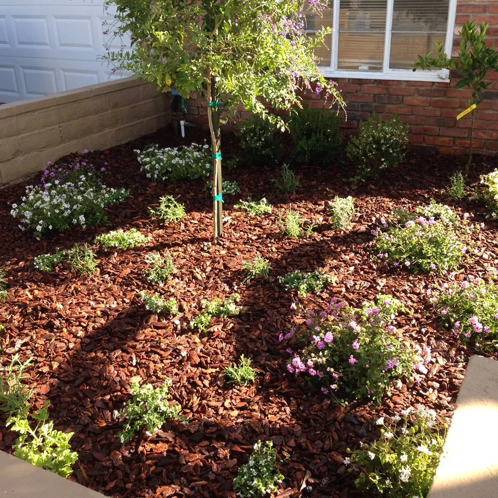 Trusted residential landscaping for beautiful yards in Manhattan Beach, CA by Garden Works Landscaping & Maintenance