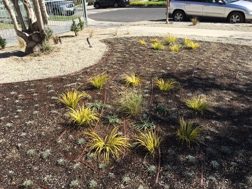 Top-rated yard maintenance in Manhattan Beach, CA - Garden Works Landscaping & Maintenance
