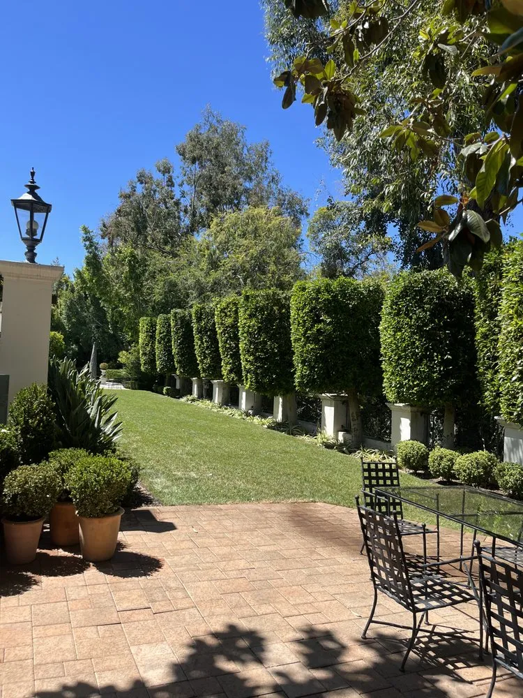 Reliable landscape installation for year-round maintenance in Santa Monica, CA by Garden Works Landscaping